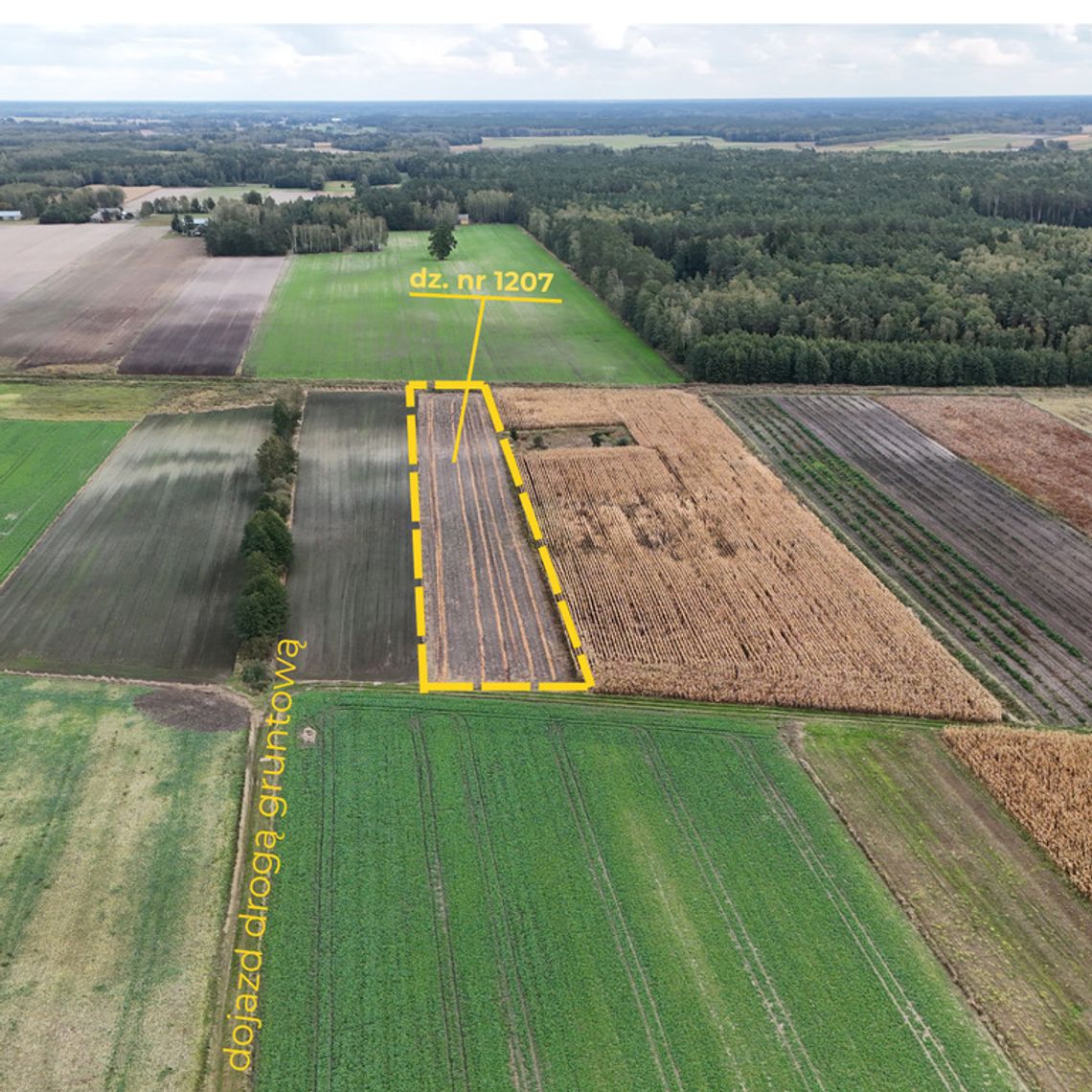 Działka rolna 7300m², przy rzece - Kolembrody Działka rolna 7300m², przy rzece - Kolembrody