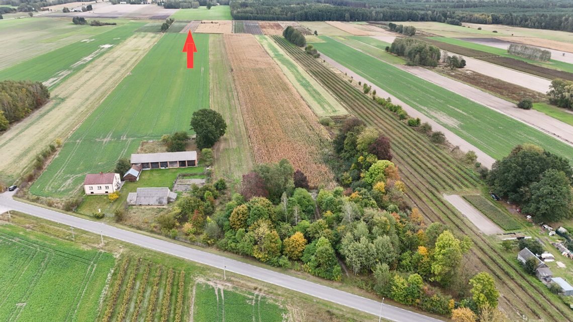 Działka rolna 7300m², przy rzece - Kolembrody