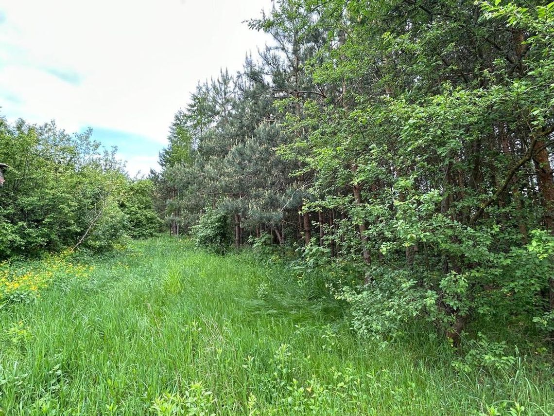 Działka Siedliskowa w Ruskowie 2791m2