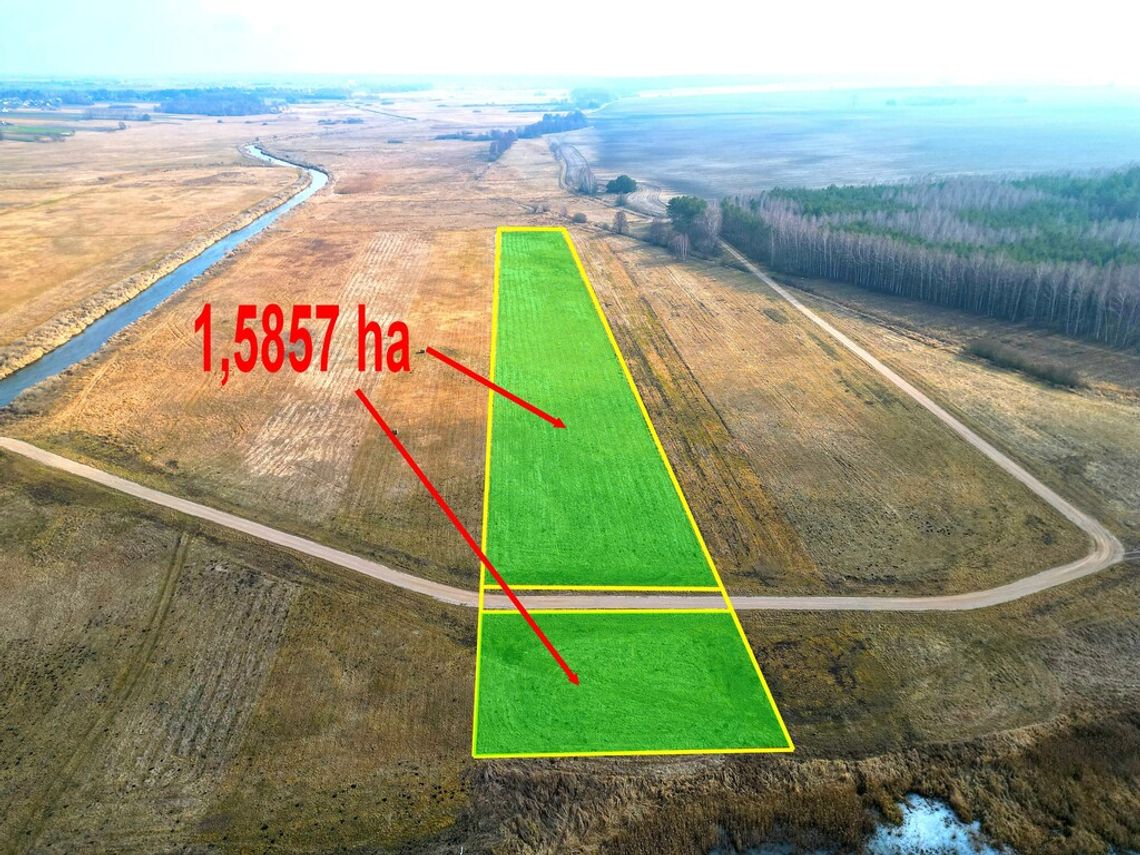 Łąka Horbów Kolonia, gm. Zalesie, pow. bialski Łąka Horbów Kolonia, gm. Zalesie, pow. bialski