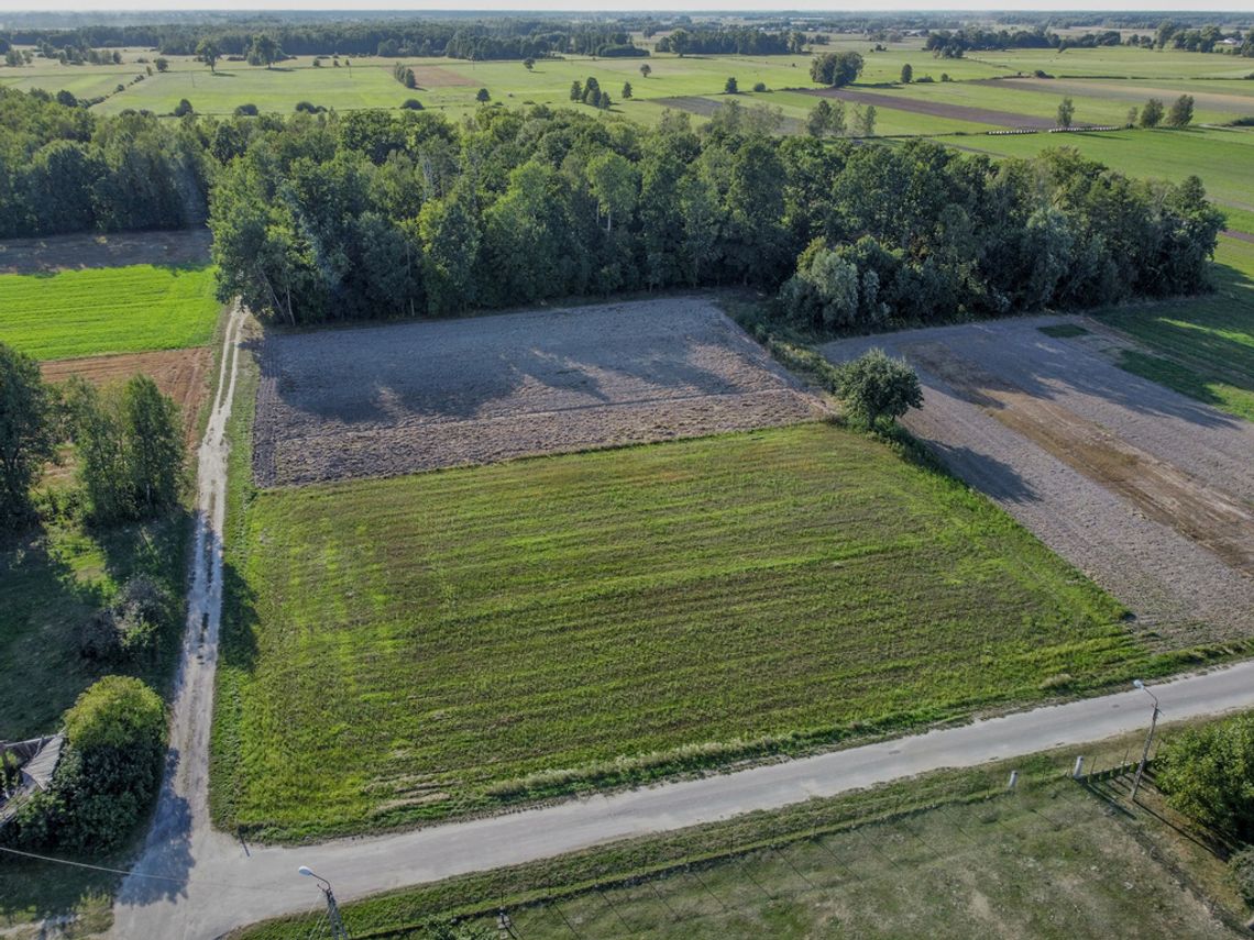 Piękna działka budowlana w Anielkach (Wygnanka)