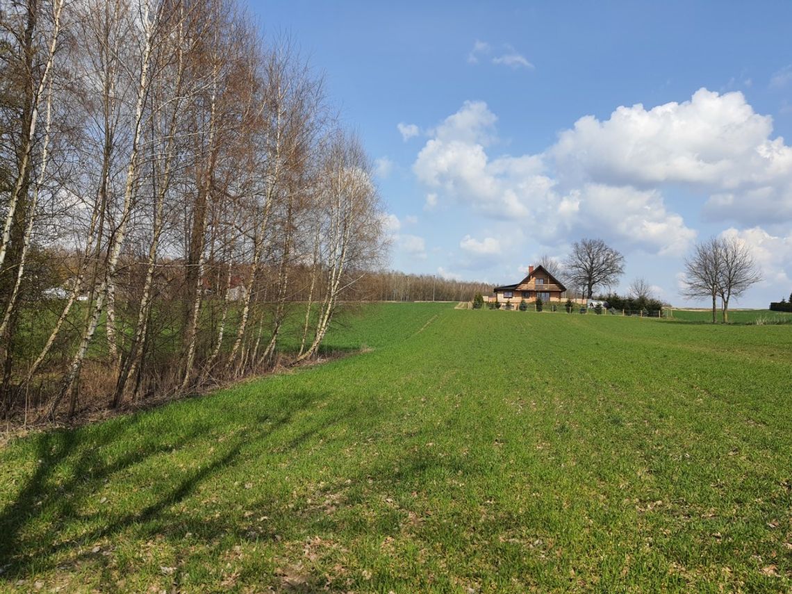 Unikatowa działka w Dolinie Tyśmienicy – 3816 m²