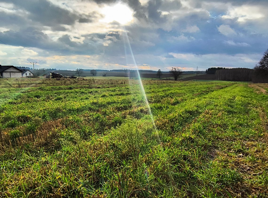 Wyjątkowe działki nad zalewem w Janowie Podlaskim Wyjątkowe działki nad zalewem w Janowie Podlaskim