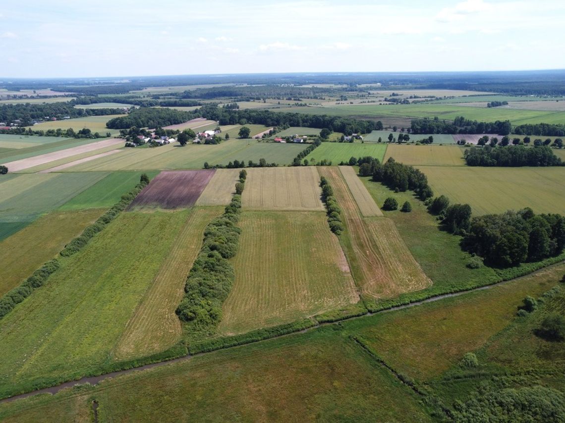 Ziemia rolna 7,14 ha Nietiahy gm. Dębowa Kłoda