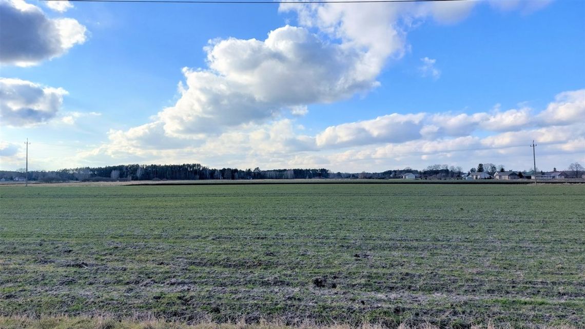 Ziemia rolna w Curynie Ziemia rolna w Curynie