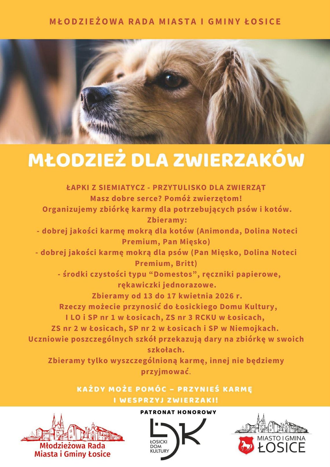 Akcja „Młodzież dla zwierzaków”