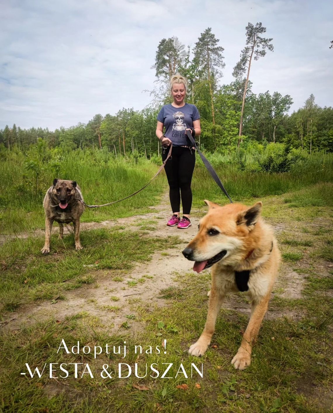 Spacer z podopiecznymi schroniska Spacer z podopiecznymi schroniska