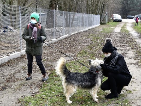 Otwarcie wybiegu dla psów przy Schronisku Azyl w Białej Podlaskiej