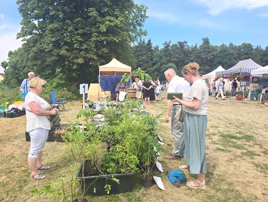 Jarmark Sapieżyński w Kodniu 2025 r.
