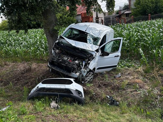 Wypadek w Wólce Ciechomskiej. Pięć osób rannych, w tym 8-letnie dziecko [GALERIA ZDJĘĆ]
