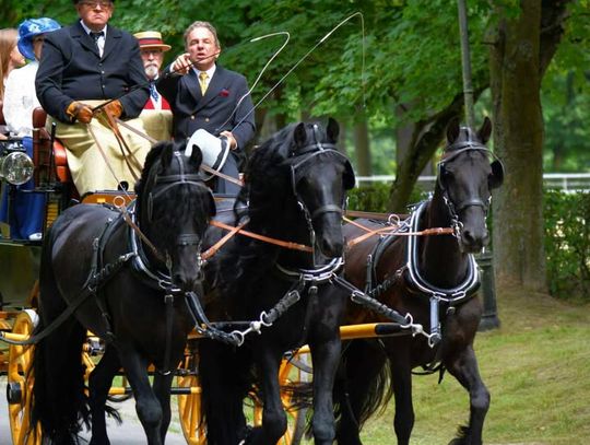 Dni Konia Arabskiego w Janowie Podlaskim [GALERIA ZDJĘĆ]