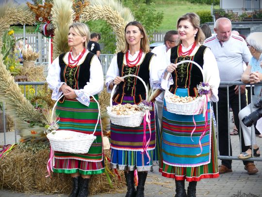 Dożynki powiatowe w Łosicach – tradycja, wdzięczność i wspólna zabawa [GALERIA ZDJĘĆ]