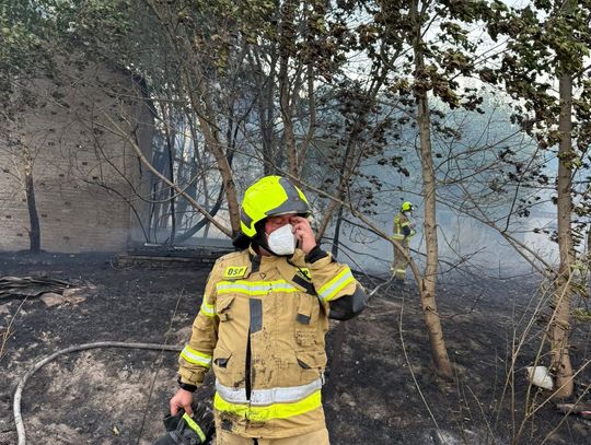 Pożar Lasów Parczewskich. Strażacy walczą z żywiołem [GALERIA ZDJĘĆ]