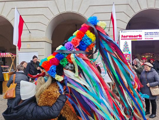 Brodacze w Warszawie 2025 r. [GALERIA ZDJĘĆ]