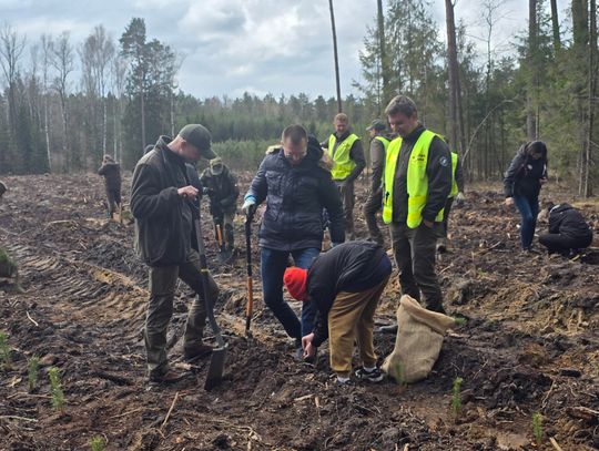 Akcja "Sadzimy razem z naturą" w Chotyłowie [GALERIA ZDJĘĆ]