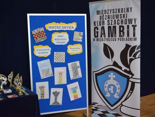 Turniej Szachowy w Rogoźnicy