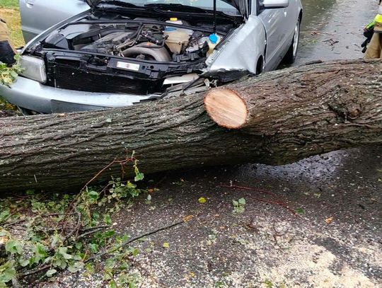 Krajobraz po nawałnicy. Skutki niszczycielskiej burzy w regionie [GALERIA ZDJĘĆ]